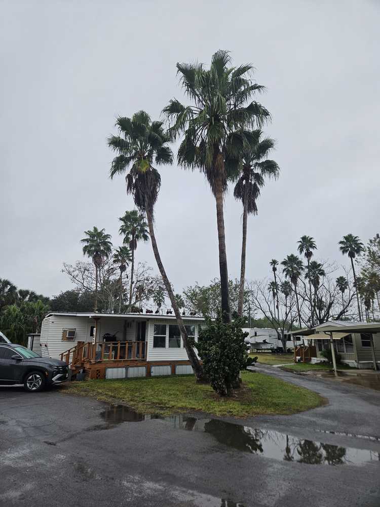 Posada del Sol, Harlingen, Texas - Photo 4