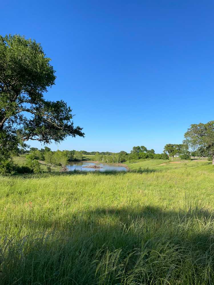 Airport Landing RV Park, Navasota, Texas - Photo 4