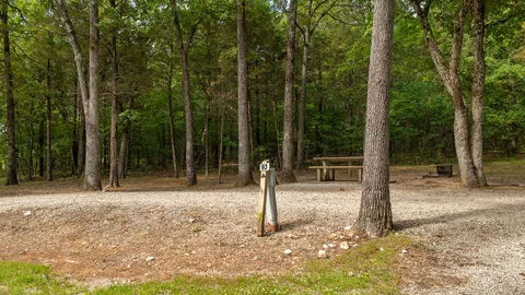 Basic RV/Tent Site — image 4 of 4