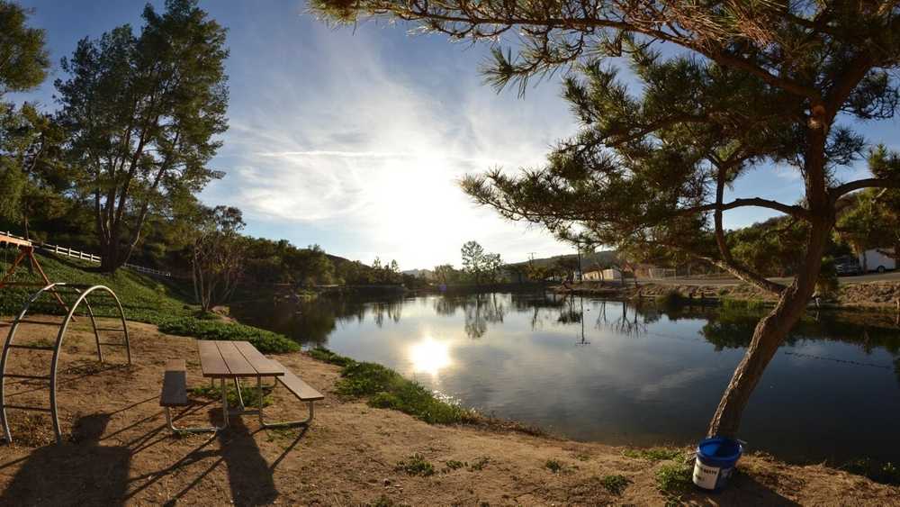 Champagne Lakes RV Resort, Escondido, California - Photo 4