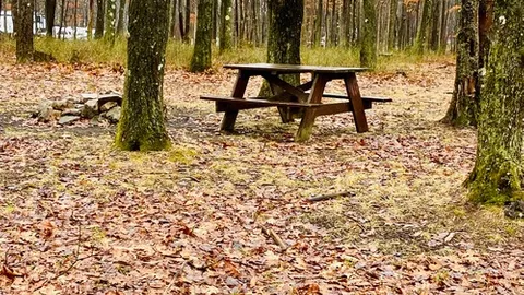 Tent Site — image 3 of 3