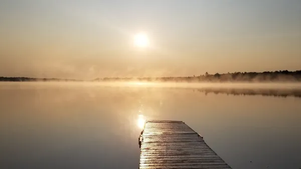 Stetson Shores Campground, Stetson, Maine campground
