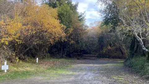 Standard Tent / Dry RV Site — image 2 of 6