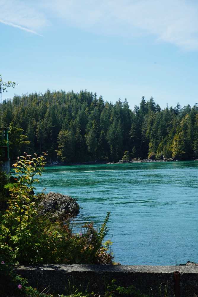 Wildpod, Tofino, British Columbia - Photo 3