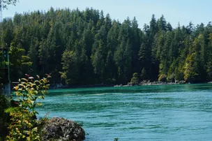 Wildpod – photo 3