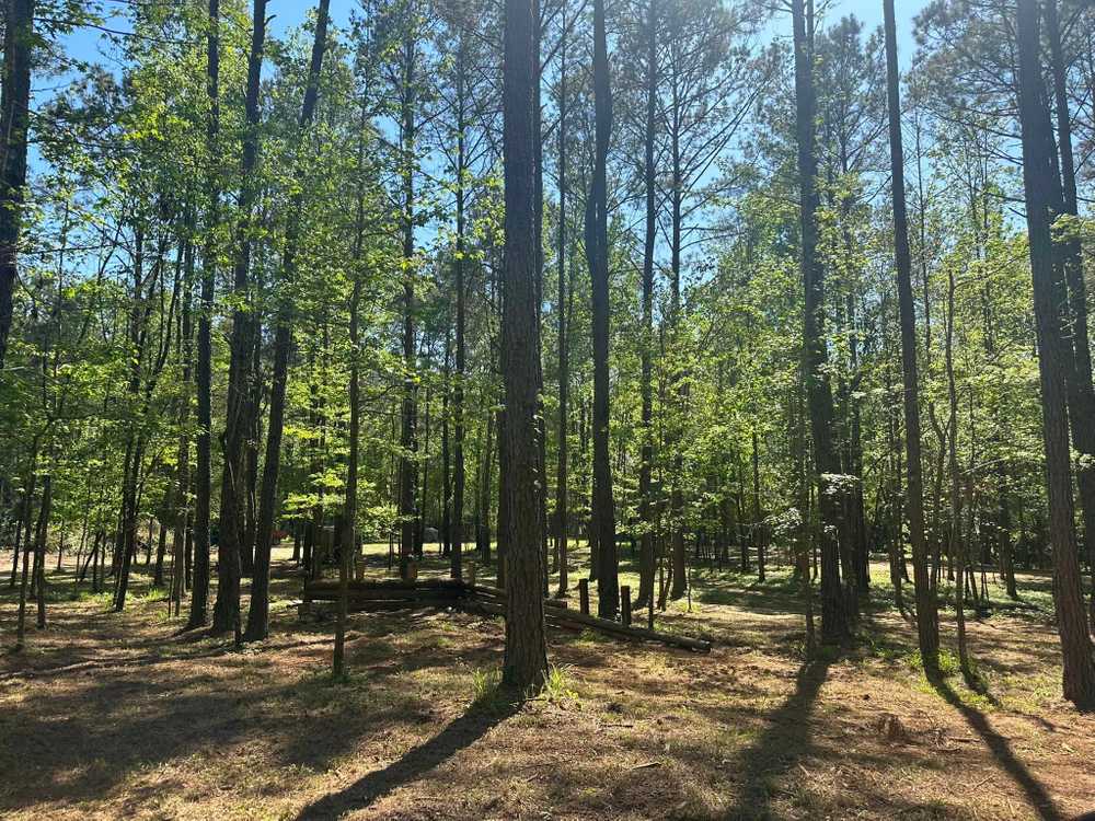 Cross Creek Campground - Photo 2