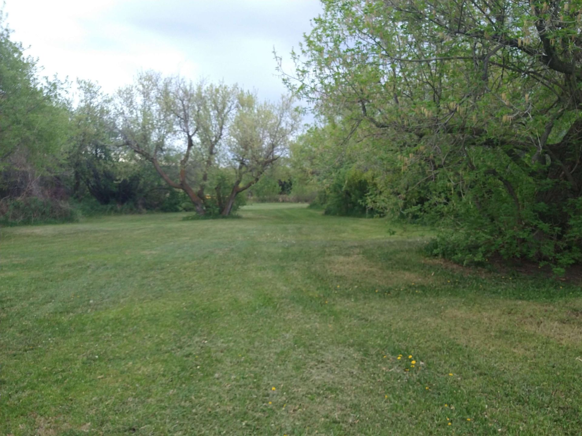 Evergreen Campground