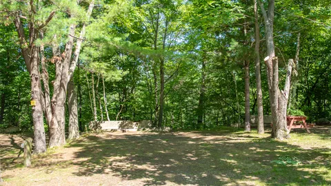 Water + Electric Tent Site — image 2 of 2