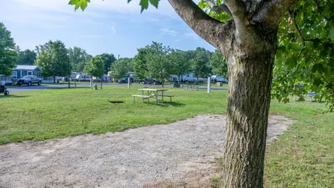 Preferred Back-In FHU RV Site — image 6 of 6