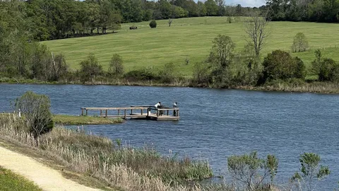 Deluxe Waterfront RV Site — image 1 of 4