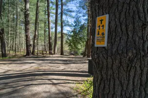 Epsom Valley Campground – photo 2