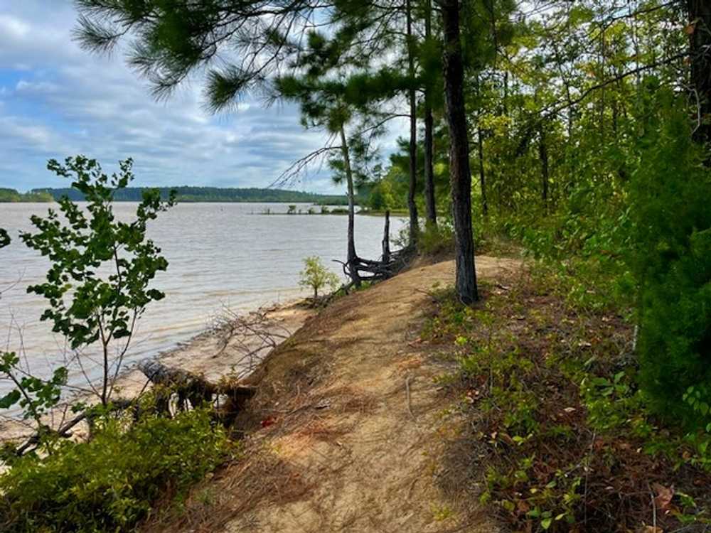 Crooked Creek Recreation Park - Photo 3