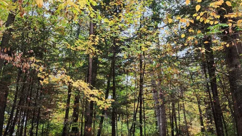 Standard TENT Sites — image 3 of 3