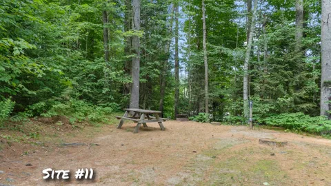 Tent or Small RV Camp Site — image 8 of 8