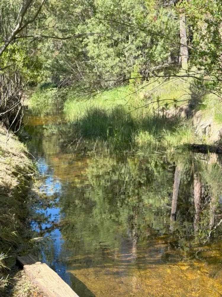 Hidden Creek RV Park, La Pine, Oregon - Photo 4