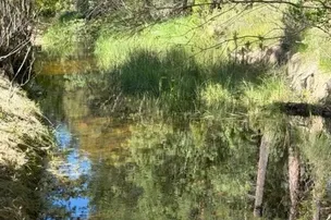 Hidden Creek RV Park – photo 4