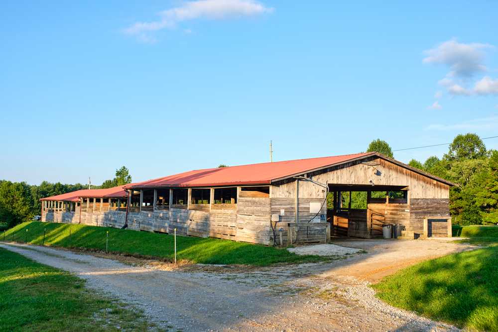 Park Image 10