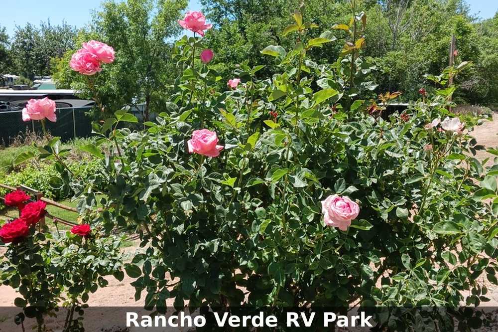 Park Image 18