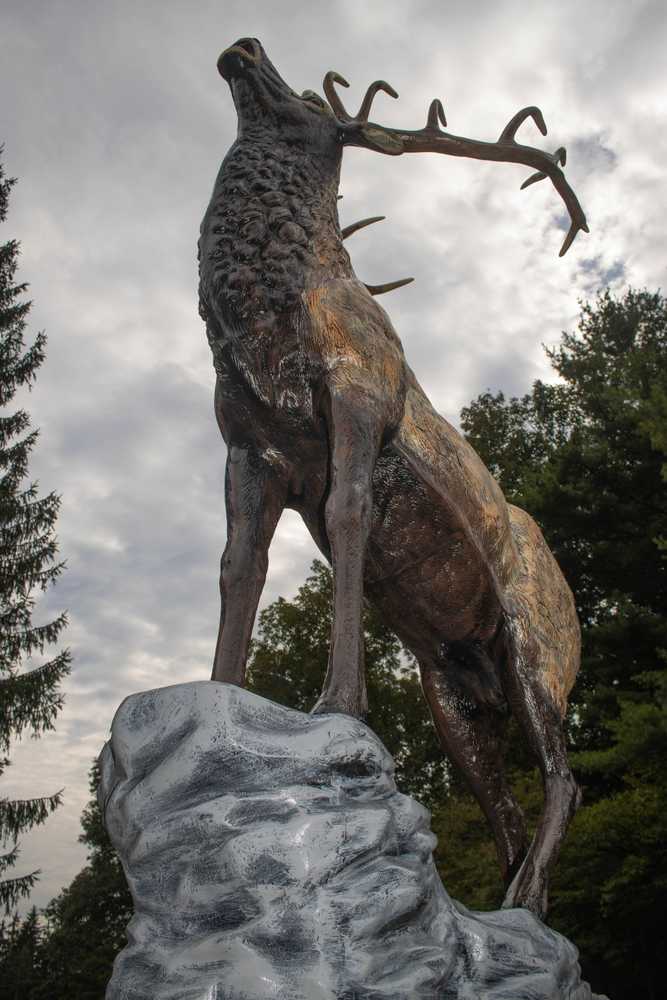 Elk Creek Escape - Photo 4
