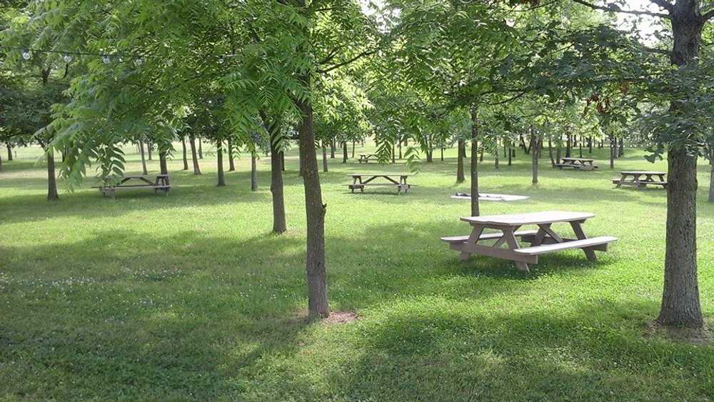 Miles Landing Campground - Photo 4