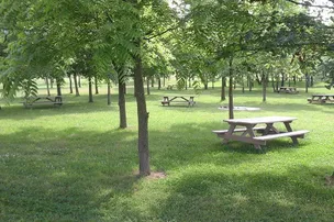 Miles Landing Campground – photo 4