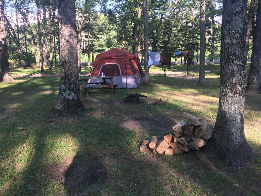 Tippy Dam Campground and Cabins - Photo 3