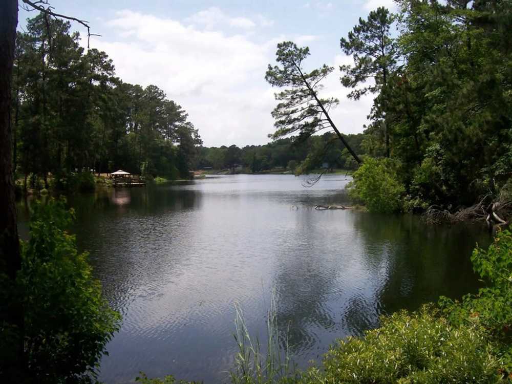 Camp Cameron, Goodrich, Texas - Main Photo