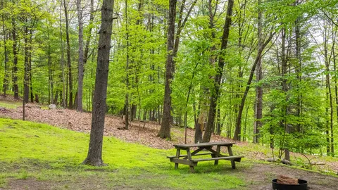 Rustic Tent — image 2 of 4