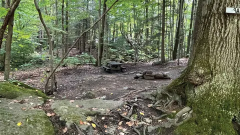 Standard Tent Site — image 2 of 6