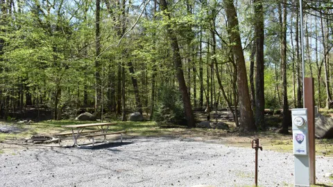 Premium Off River Full Hookup RV Site — image 2 of 10