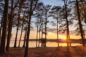 Dixon Landing RV Resort – photo 2