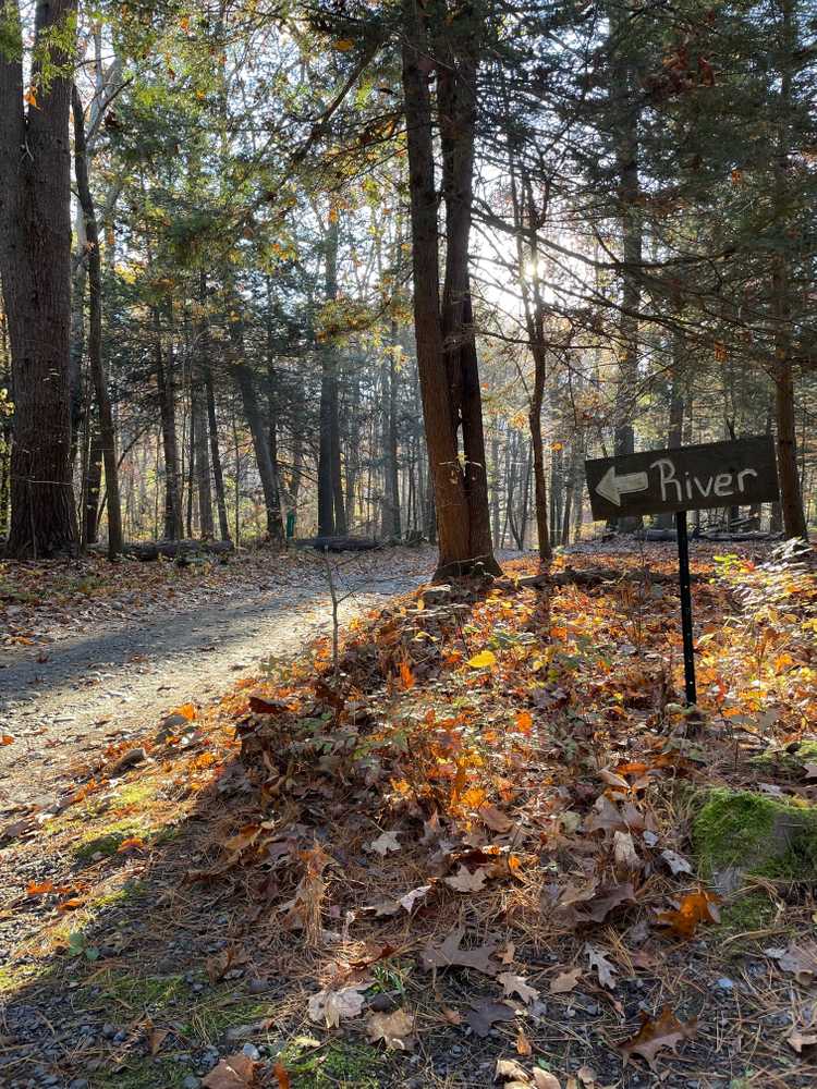 Dingmans Campground, Dingmans Ferry, Pennsylvania