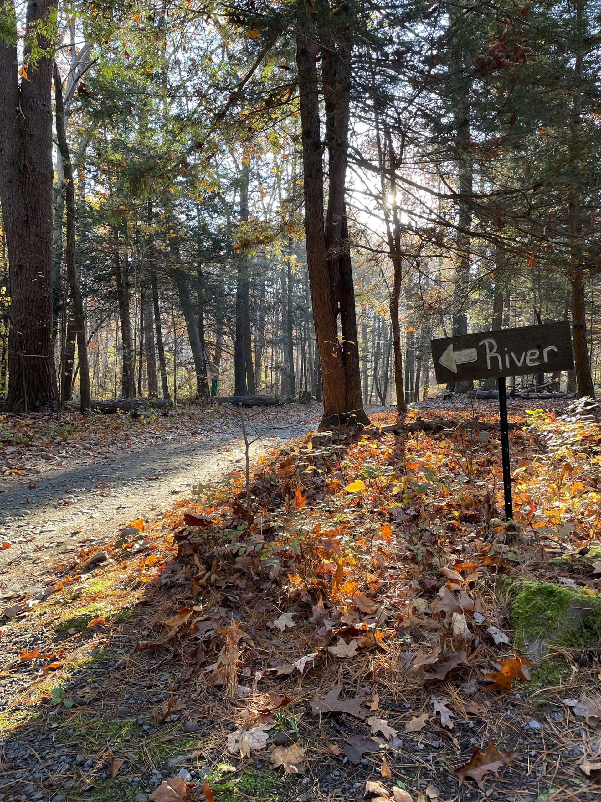 Dingmans Campground, Dingmans Ferry, Pennsylvania