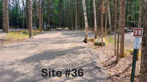 Side 2 - Non Electric — image 13 of 13