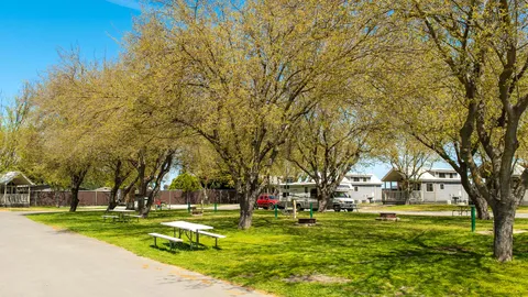 Preferred Deluxe Back-In RV Site — image 5 of 5