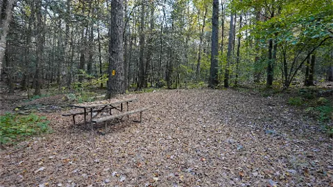 Primitive Tent — image 1 of 1