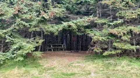 Unserviced Treeline Tent/Popup Sites — image 2 of 3