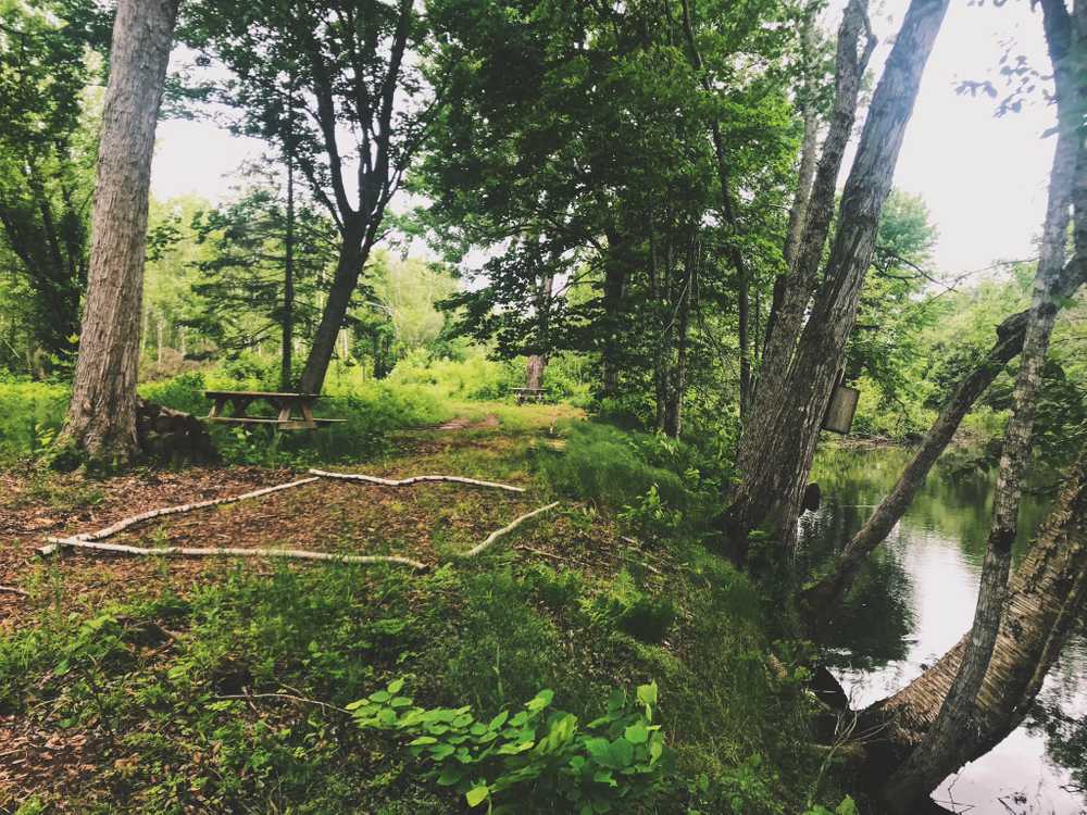 Riverbend Wilderness Camping - Photo 3
