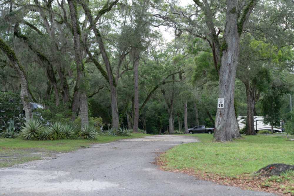 Park Image 12