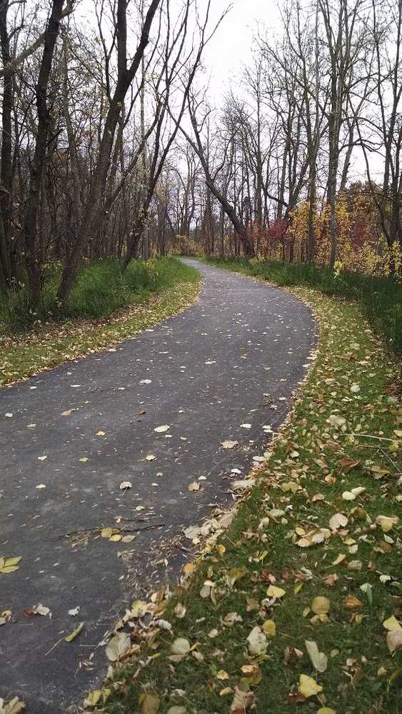 Roseau City Park Campground - Photo 5