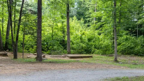 PRIMITIVE TENT — image 2 of 3
