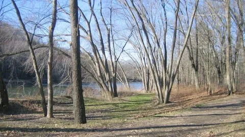 Waterfront Full Hookup RV Site — image 5 of 5