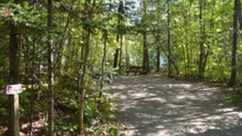 Wooded Tent Site — image 1 of 5