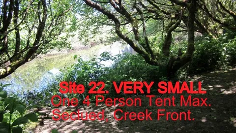 Primitive Tent Site (4 People Max) — image 4 of 4