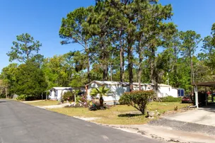 Village Pines Campground, Florida – photo 3