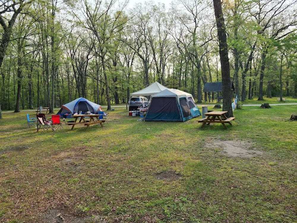 Heart of the Forest RV Park, Wellston, Michigan - Photo 5
