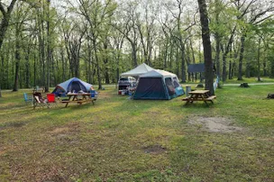 Heart of the Forest RV Park – photo 5