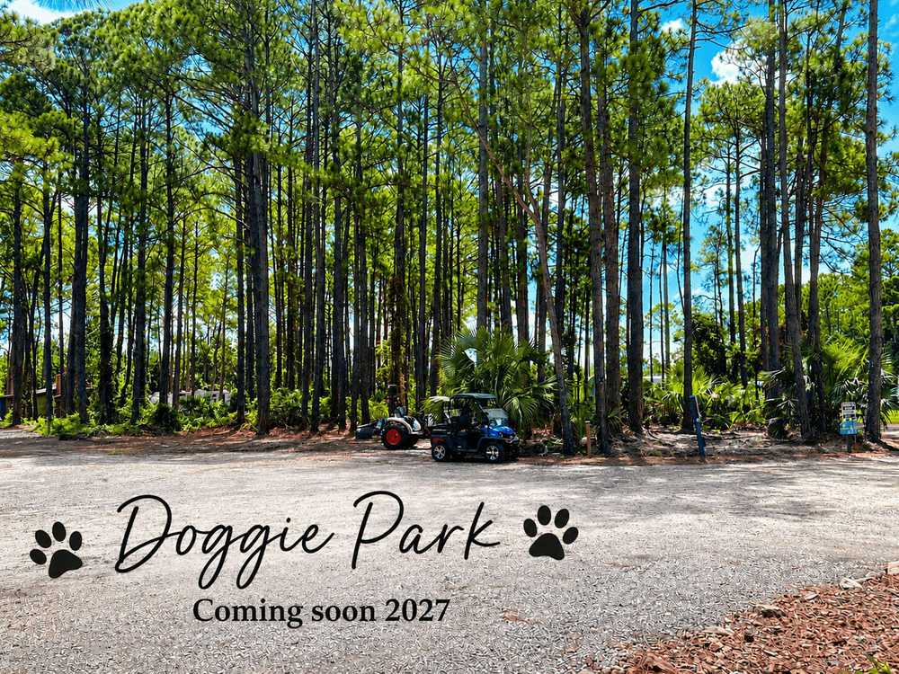 Pineglen Motorcoach & RV Park - Photo 3