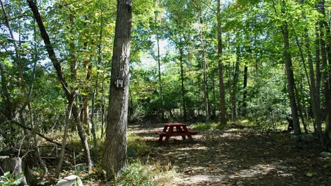 Dairy Lane — image 8 of 8
