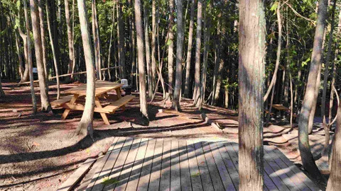 Unserviced Tent Site — image 2 of 9